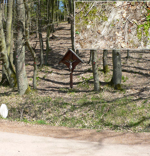 Atypus-Kolonie in Schmelz