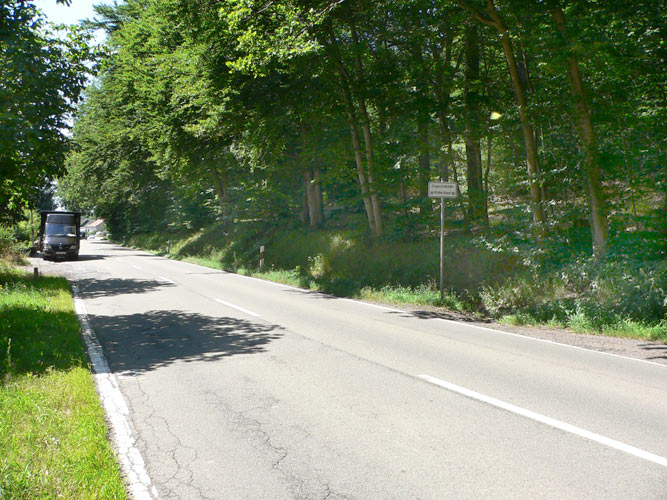 Atypus-Kolonie in Sprengen/Saarland