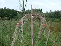 anklicken zum vergrössern (click to enlarge)